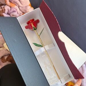Eternity Rose in Gift Box